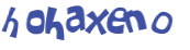 Wyzwanie captcha