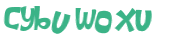 CAPTCHA 挑戰