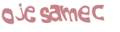 Captcha 챌린지