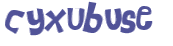 CAPTCHA 挑戰