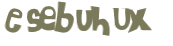 Sfida captcha