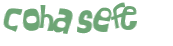 Captchafråga