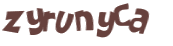 Wyzwanie captcha
