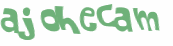 Captcha 챌린지