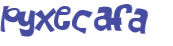 CAPTCHA 挑戰