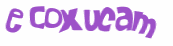 Desafio Captcha