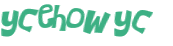 Captcha 챌린지