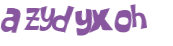 CAPTCHA 挑戰