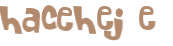 Captcha 챌린지