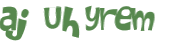 CAPTCHA 挑戰