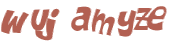 CAPTCHA 挑戰
