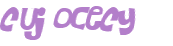 CAPTCHA 挑戰