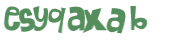 Captcha challenge