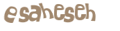 Captcha 챌린지