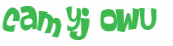 CAPTCHA 挑戰