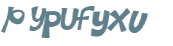 CAPTCHA 挑戰