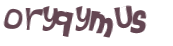 CAPTCHA 挑戰