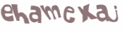 CAPTCHA 挑戰