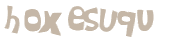 Desafio captcha