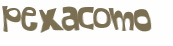 Captcha 챌린지
