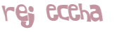Captcha 챌린지