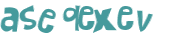 Captcha 챌린지