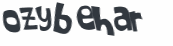 Captcha 챌린지