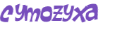 キャプチャ認証