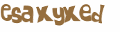 Sfida captcha