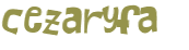Wyzwanie captcha