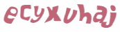 キャプチャ認証