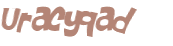 Captcha挑战