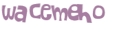 Captcha 챌린지