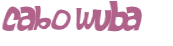 Desafio captcha