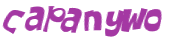 CAPTCHA 挑戰