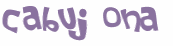 CAPTCHA 挑戰