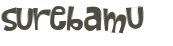 Wyzwanie captcha