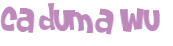 Captchafråga