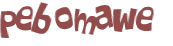 Wyzwanie captcha