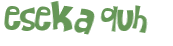 CAPTCHA-haaste