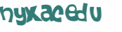 Captcha 챌린지