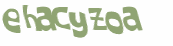 CAPTCHA 挑戰