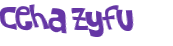 Wyzwanie captcha