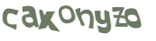 Wyzwanie captcha