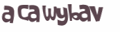 Captcha-Test