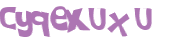CAPTCHA 挑戰
