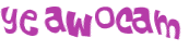 Wyzwanie captcha