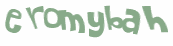 CAPTCHA 挑戰
