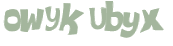Captcha 챌린지