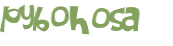 CAPTCHA 挑戰